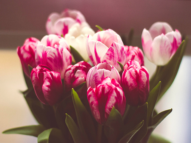 Поздравляем Елену Вадимовну Аликину