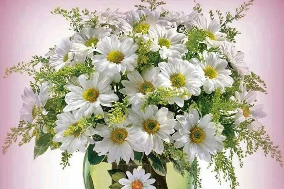 Поздравляем дорогую Ирину Сергеевну Алексееву, члена Совета нашей Школы с днём рождения! 