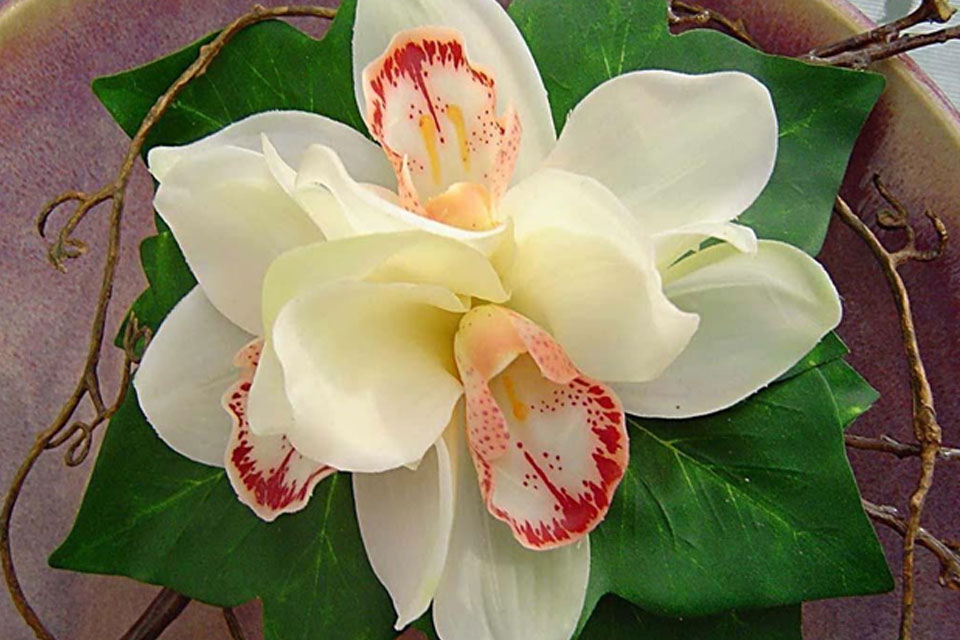 Поздравляем дорогого Израиля Соломоновича Шалыта, члена Совета нашей Школы, с днём рождения